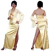 Splended Dress 200X 13(ナイトドレス)