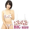 ��������߰���ׁi䕽����ץ�����������ׁj�@BIG