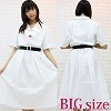 �_�˂̏��q���w�����i�ĕ��j�@BIG